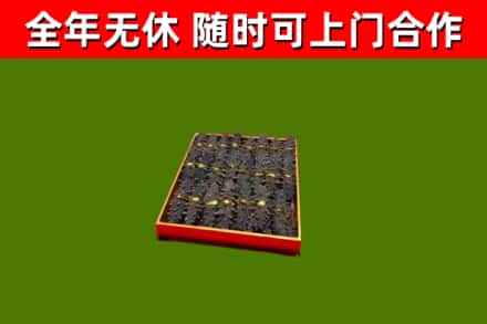 宾阳烟酒回收海参.jpg